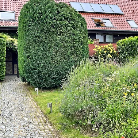 Neues Nr 6 Im Lepels Hof *